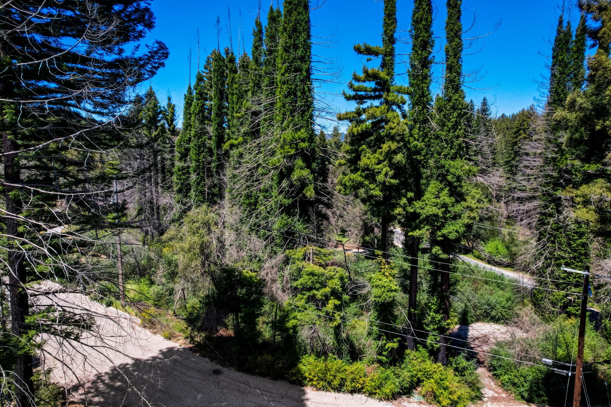 0 Fallen Leaf Drive, Boulder Creek, CA for Sale