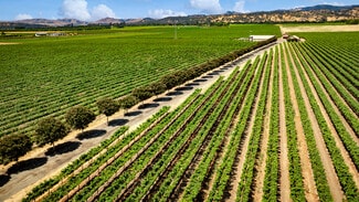 Fairfield, CA Agricultural Land - 4591 Abernathy Rd