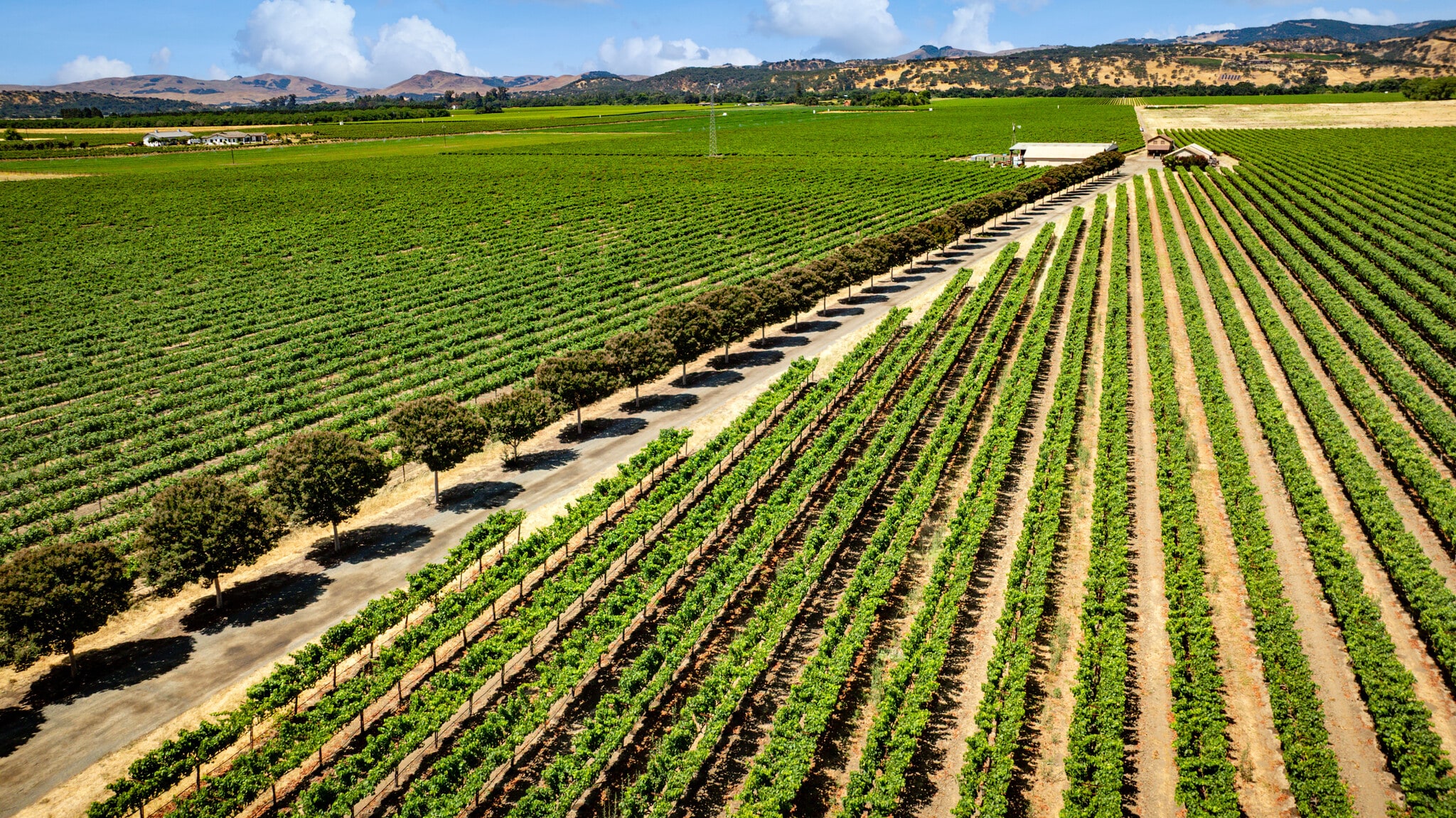 4591 Abernathy Rd, Fairfield, CA for Sale