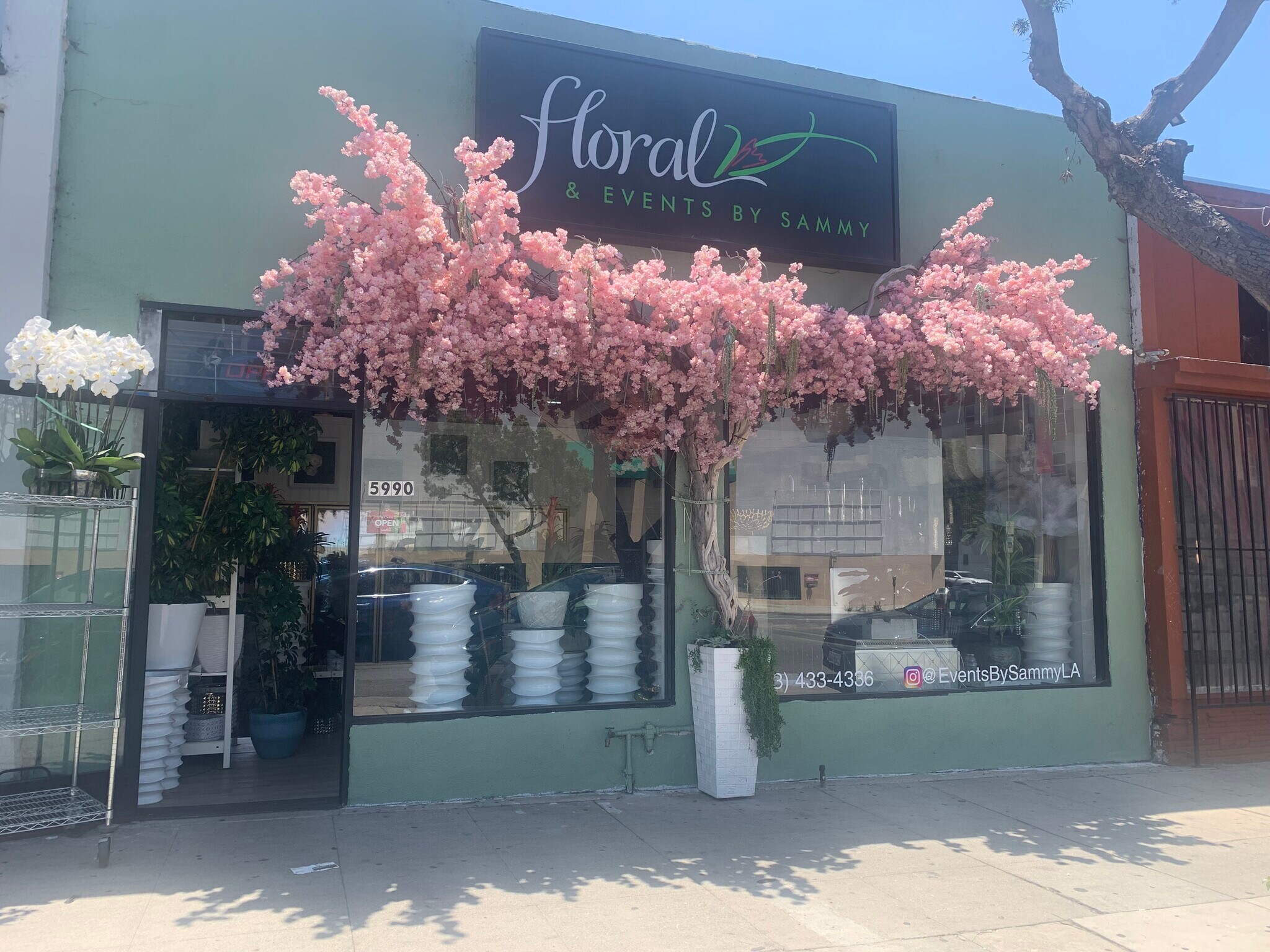 5990 W Pico Blvd, Los Angeles, CA for Rent