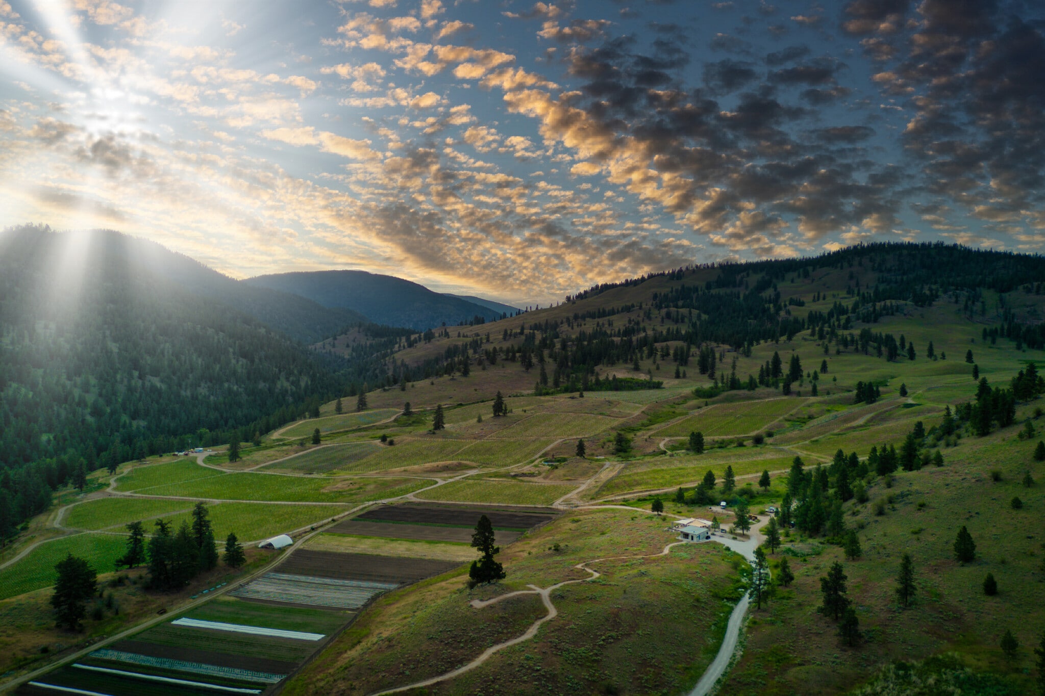 26405 Garnet Valley Rd, Summerland, BC for Sale
