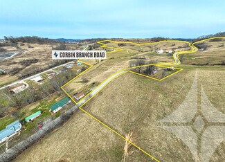 Bridgeport, WV Commercial Land - 257 Corbin Branch Rd