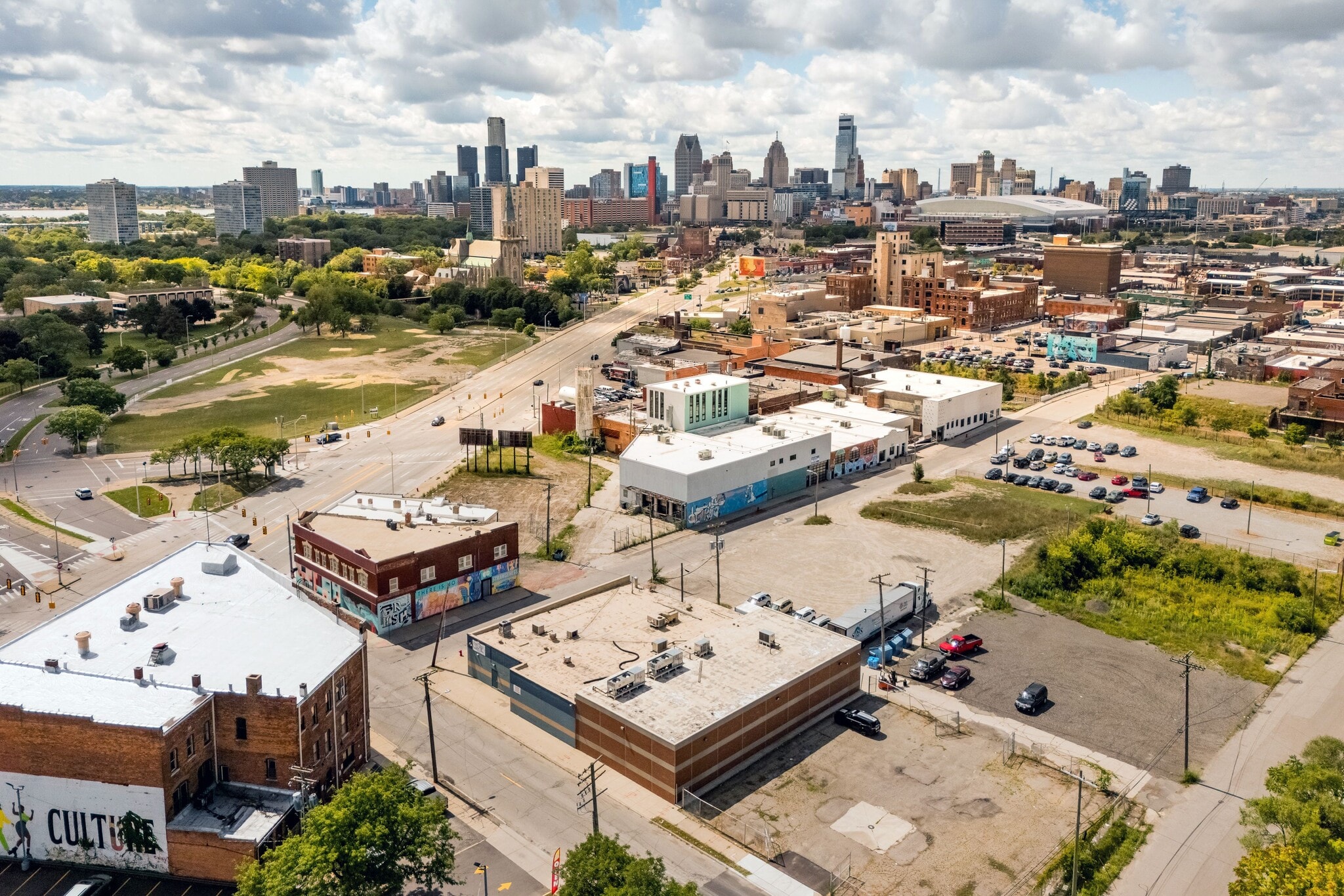 1956 Alfred st, Detroit, MI for Sale