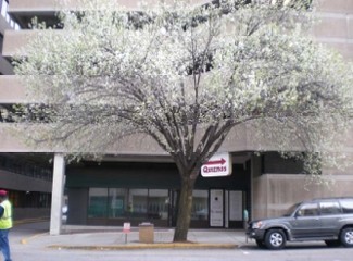 Columbia, SC Retail - 1237 Washington St