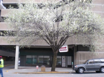 1237 Washington St, Columbia, SC for Rent