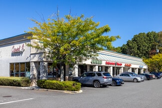 Staten Island, NY Retail - 230-262 Arden Ave