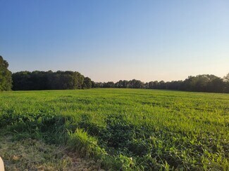 Bellflower, MO Agricultural - Highway DD (85.69+/- Acres - Tract E)