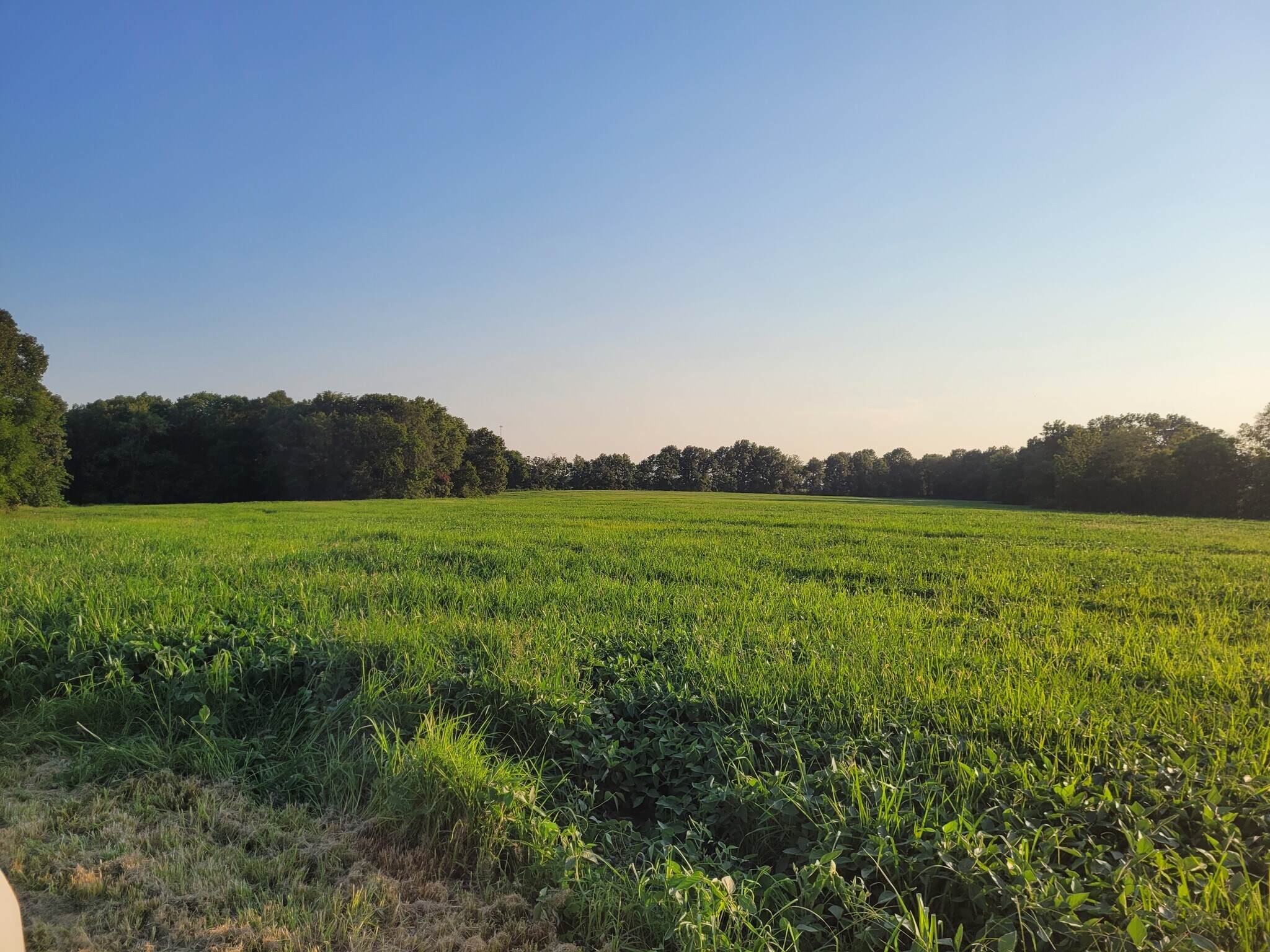 Highway DD (85.69+/- Acres - Tract E), Bellflower, MO for Sale