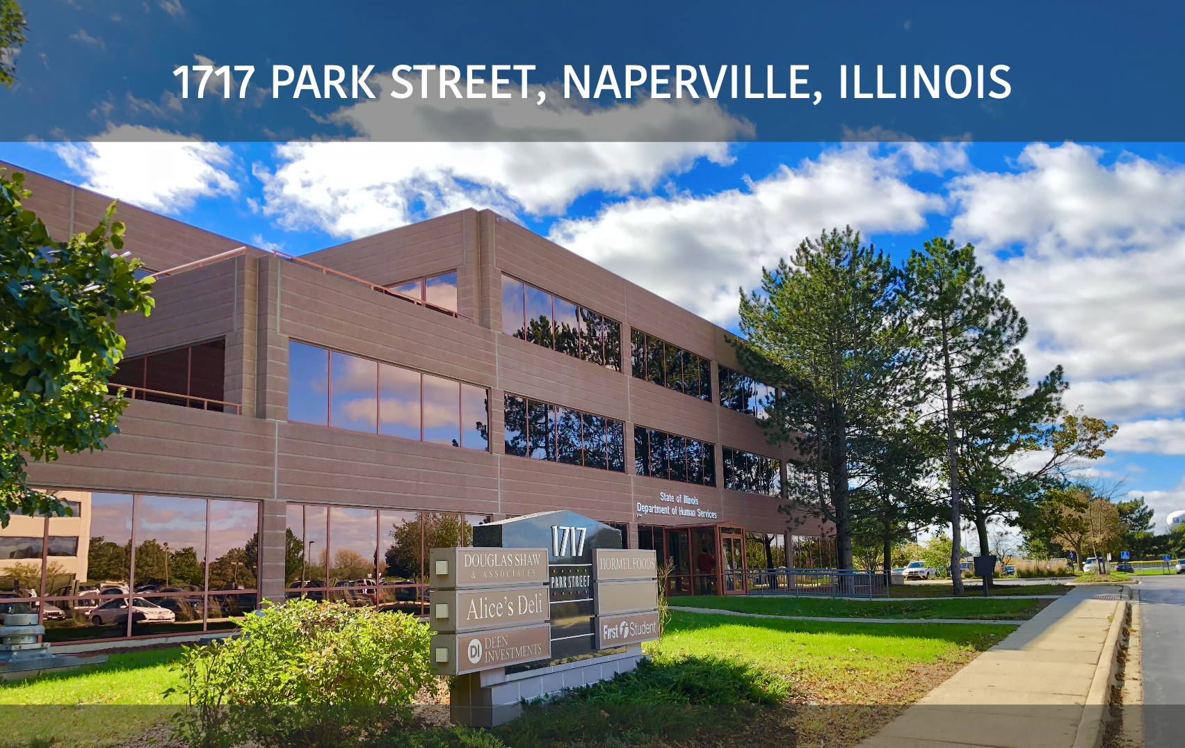 1717 Park St, Naperville, IL for Rent