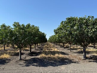 Tranquillity, CA Agricultural Land - W South ave Tranquillity, CA Agricultural Land - W South ave