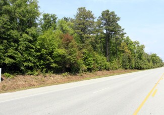 Beaufort, SC Commercial Land - 708 Robert Smalls Pky
