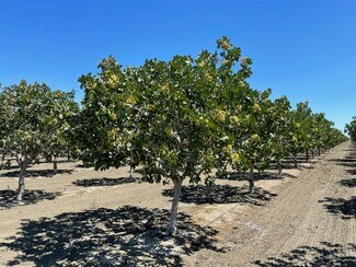 Helm, CA Agricultural - Nwc Of W Lassen & Davis Avenues
