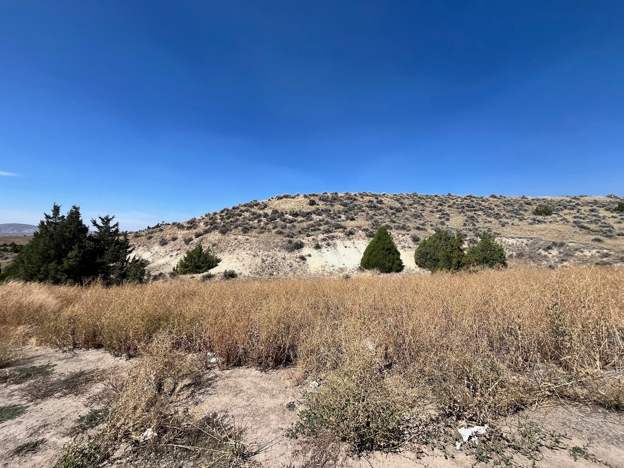 TBD Homestead Road, Three Forks, MT for Sale
