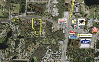 Lutz, FL Commercial Land - 20826 State 54 Rd Lutz, FL Commercial Land - 20826 State 54 Rd