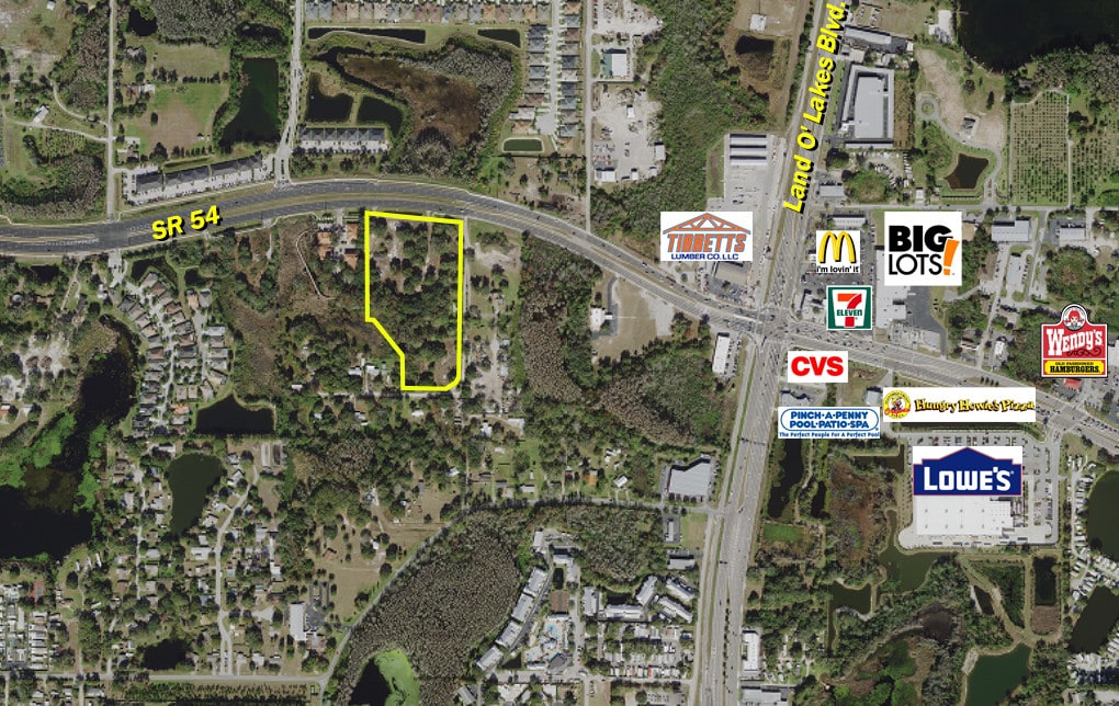 20826 State 54 Rd, Lutz, FL for Sale