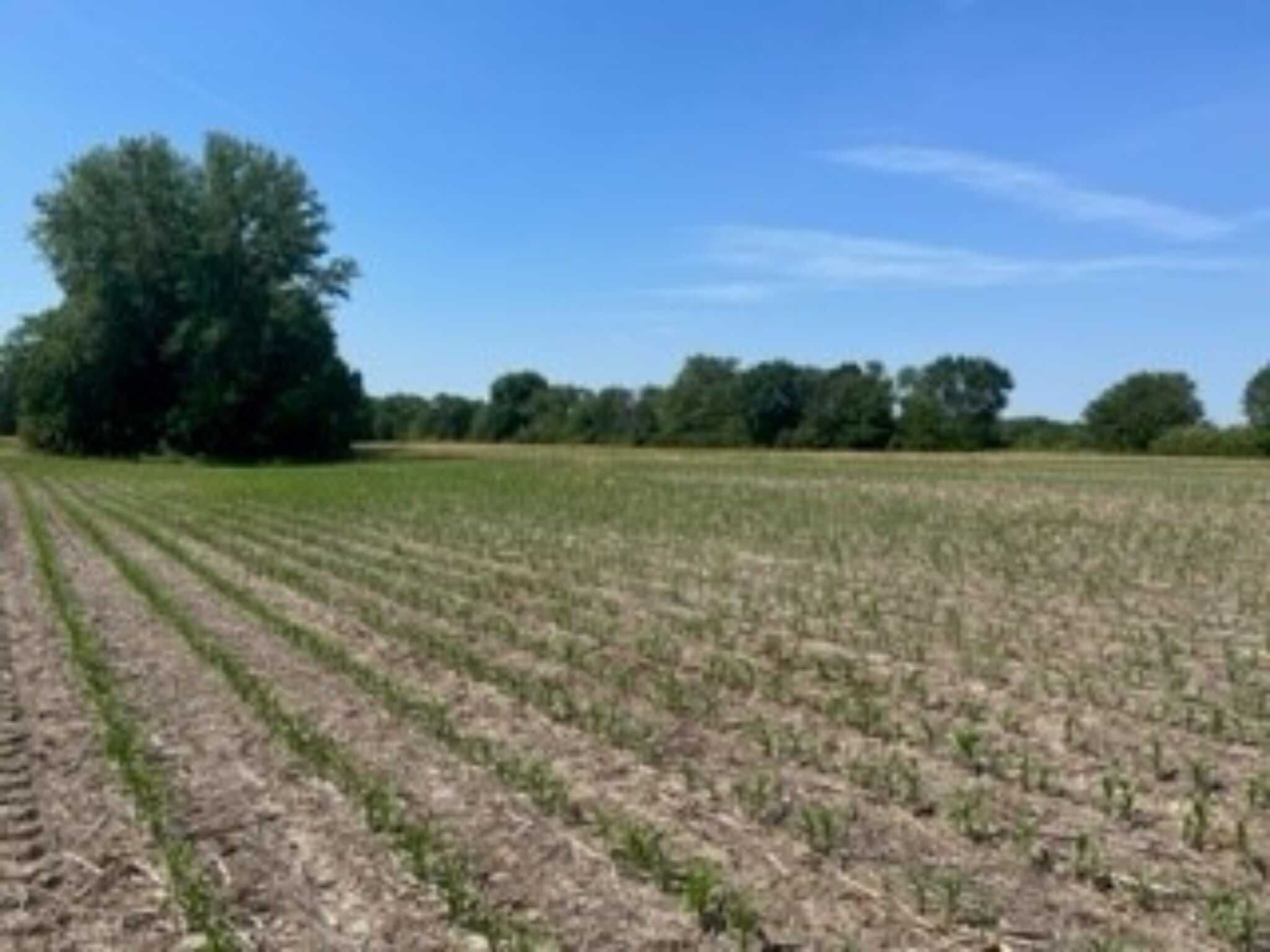 6314 W Fauber Rd, Peoria, IL for Sale
