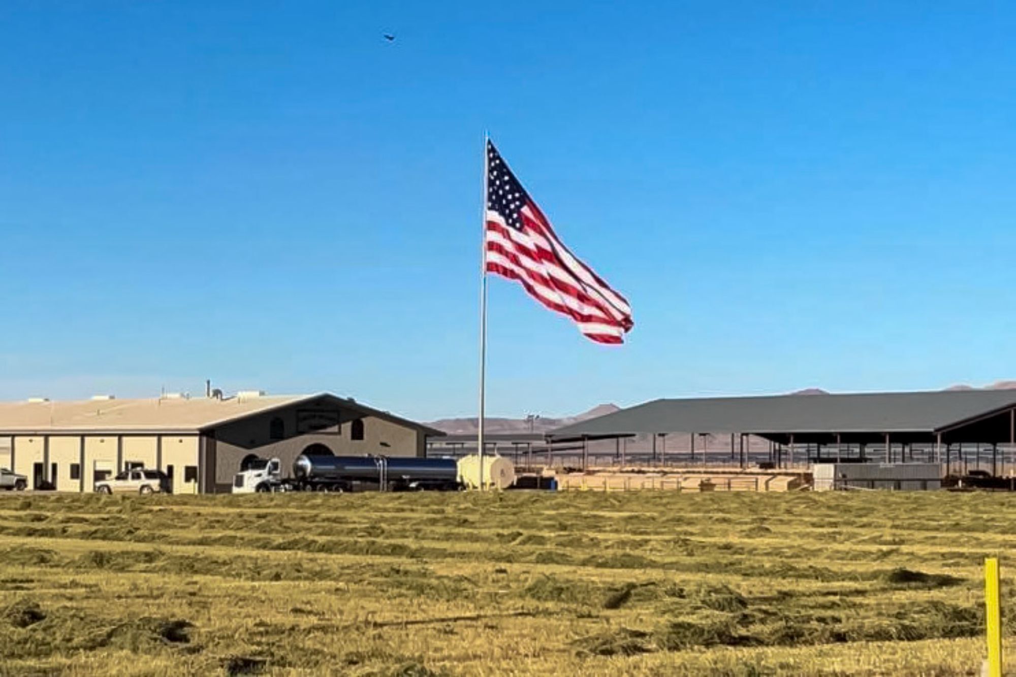 40 Hunewill Ln Wellington, NV 89444 Land Property for Sale on