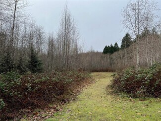 Allyn, WA Residential Land - 0 Wheelwright