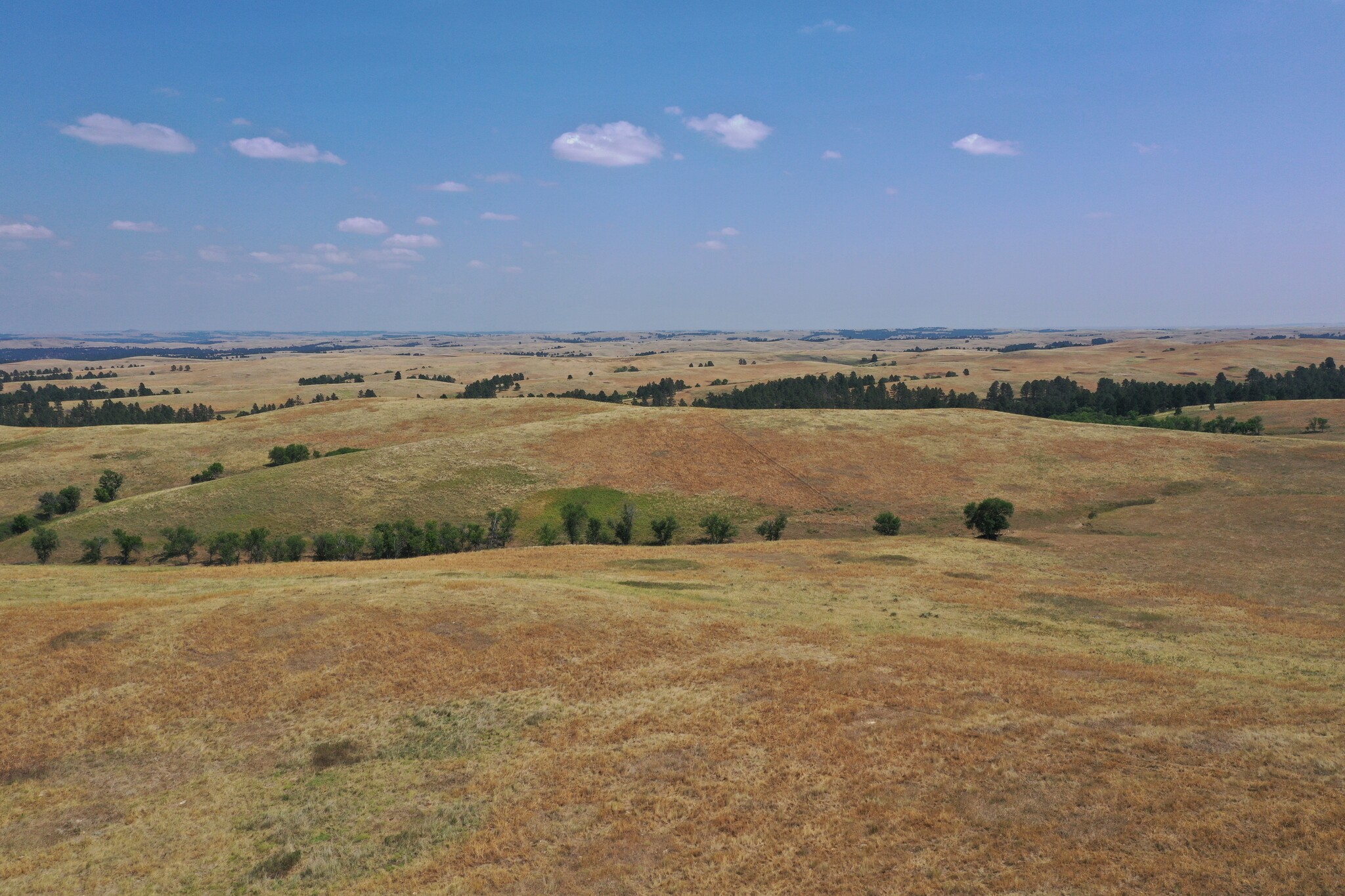 TBD BIA #33, Pine Ridge, SD for Sale