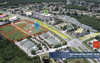 New Port Richey, FL Retail - Little Rd Rd