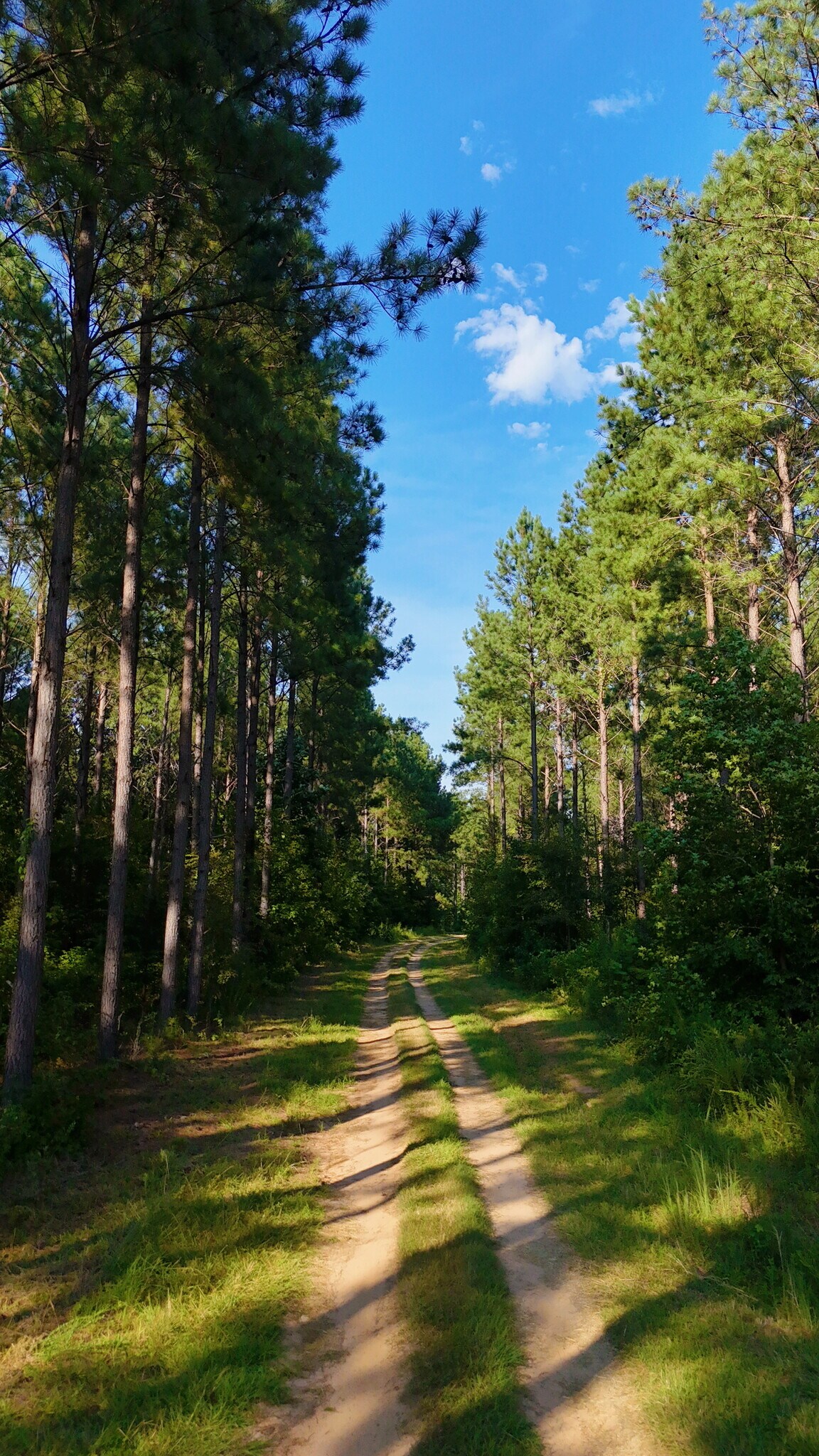 2784 Furman L Fendley Hwy, Jonesville, SC for Sale