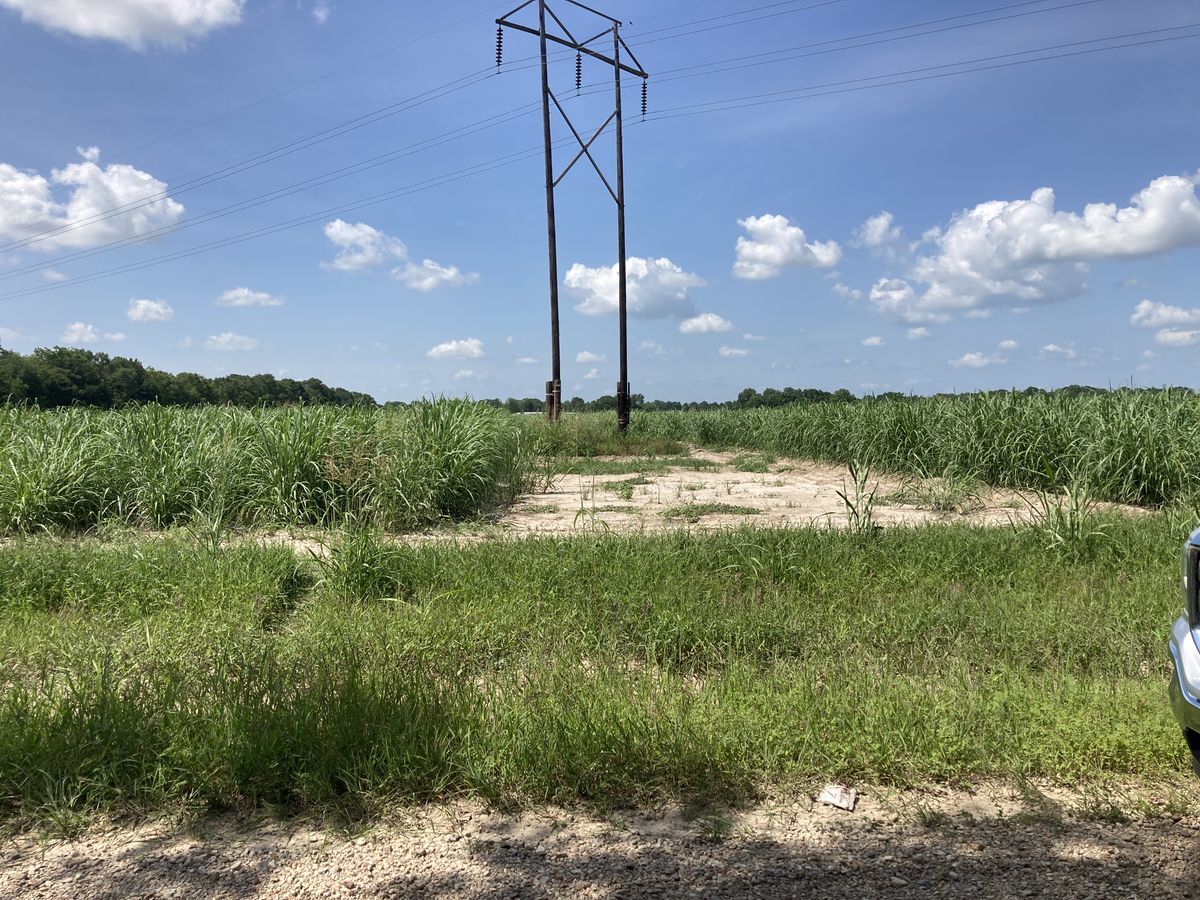 Cocodril Rd, Scott, LA for Sale