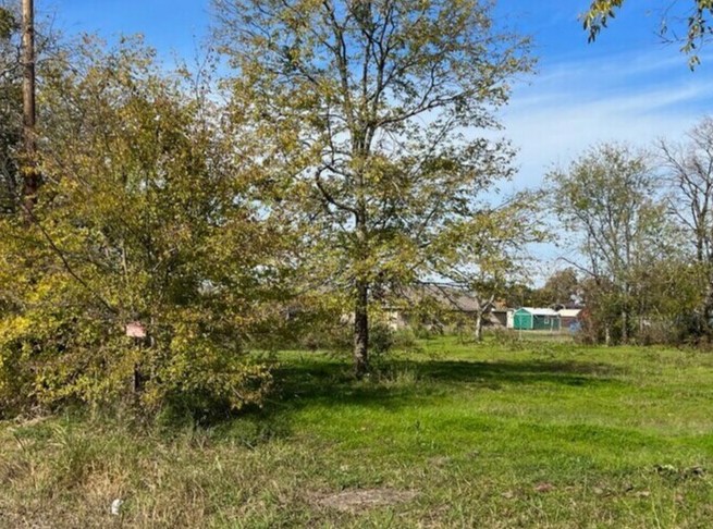 116 W Chestnut St, Mabank, TX for Sale