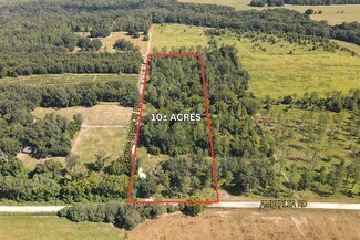 Dade City, FL Agricultural Land - Amberlea Rd & Spring Branch Rd.