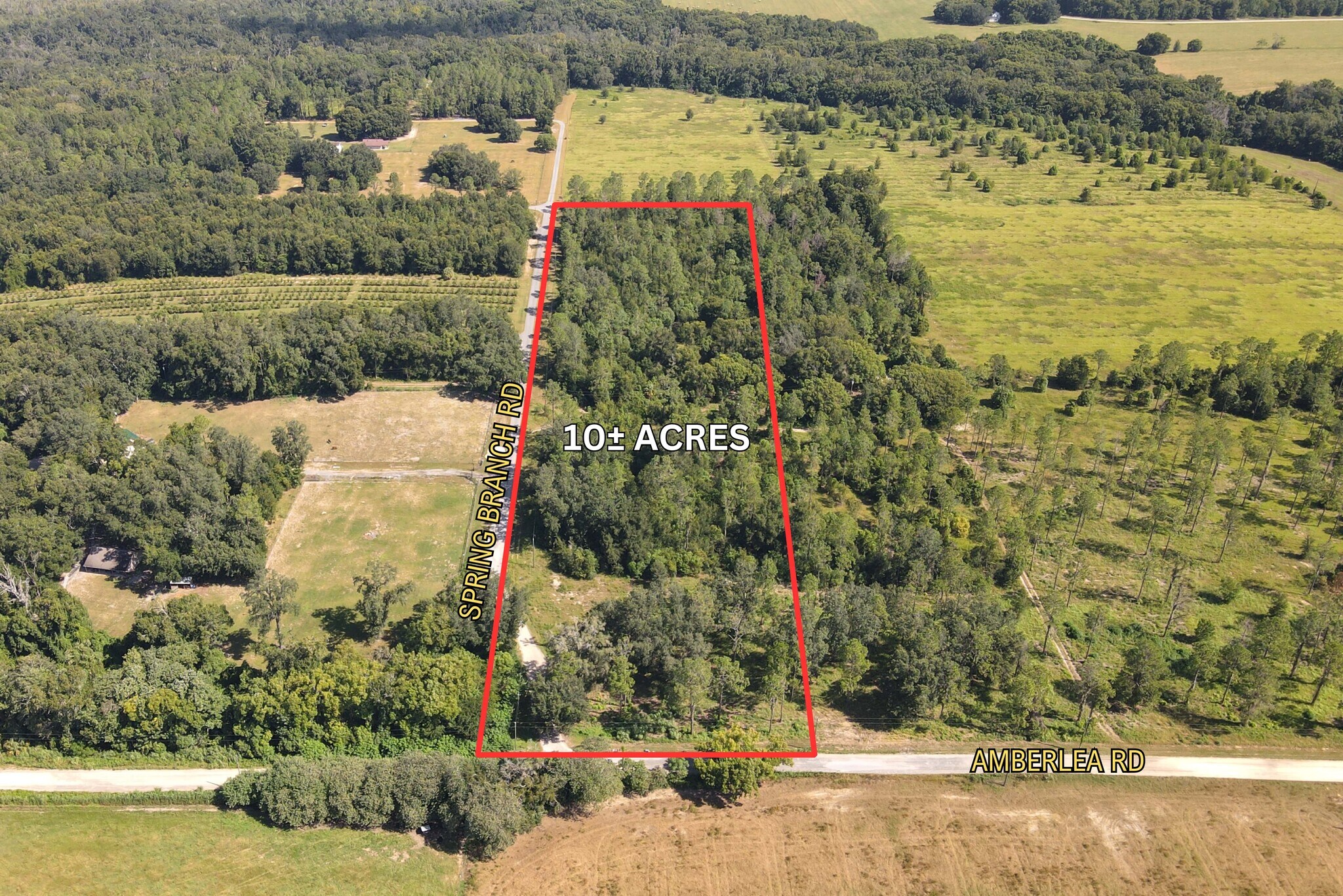 Amberlea Rd & Spring Branch Rd., Dade City, FL for Sale