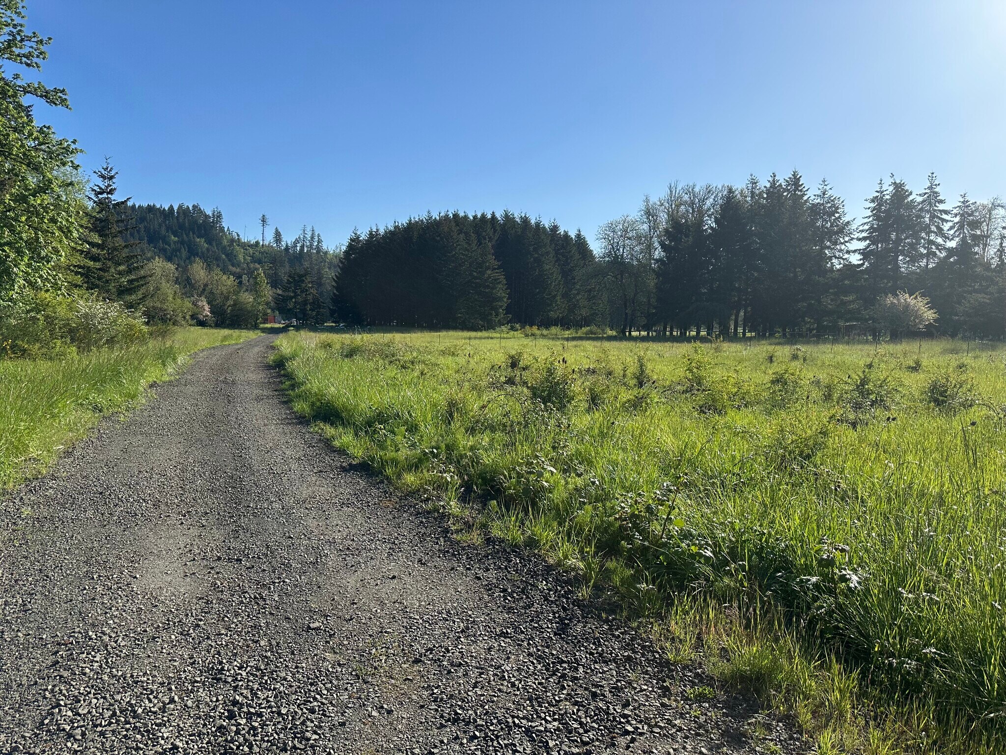 26003 Salmon River Hwy, Willamina, OR for Sale