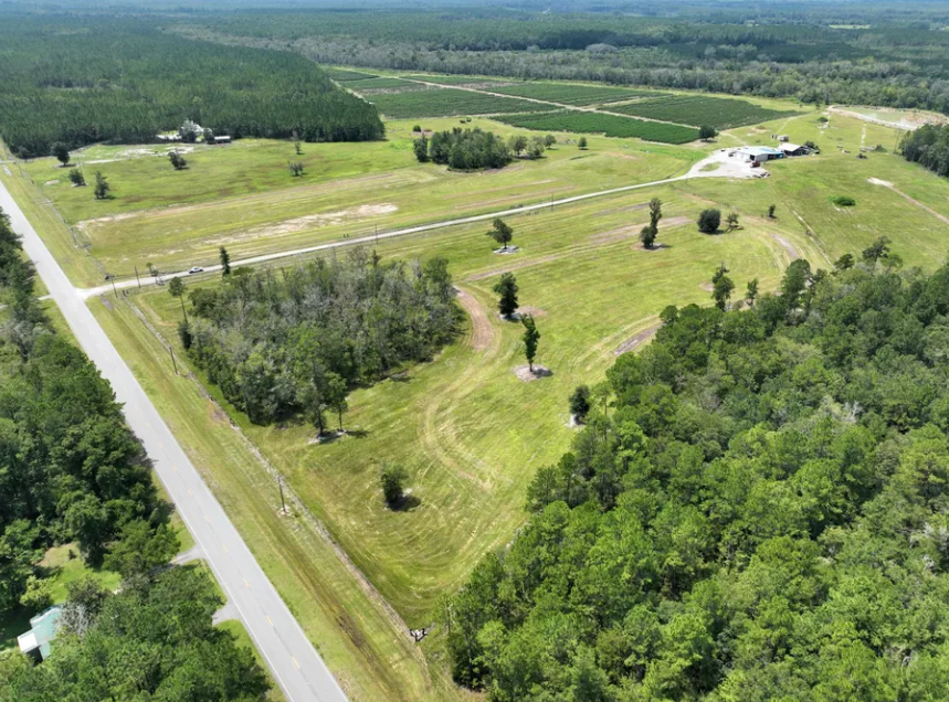 10150 State Highway 110, Woodbine, GA for Sale