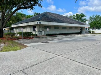 Tampa, FL undefined - 4224 N Tampania Ave