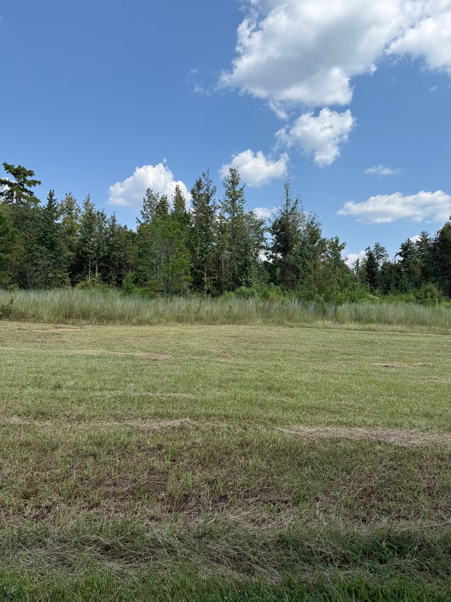 0 ALEX Rd, Gloster, MS for Sale