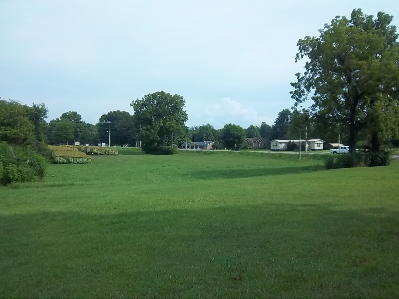 Highway 41 N, Adams, TN for Sale