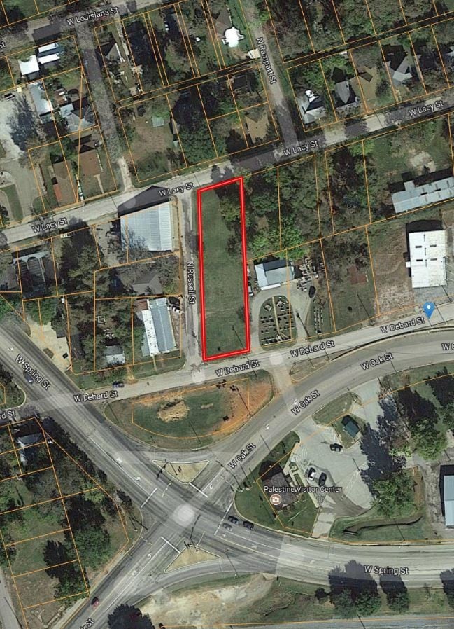919 W Debard St, Palestine, TX for Sale