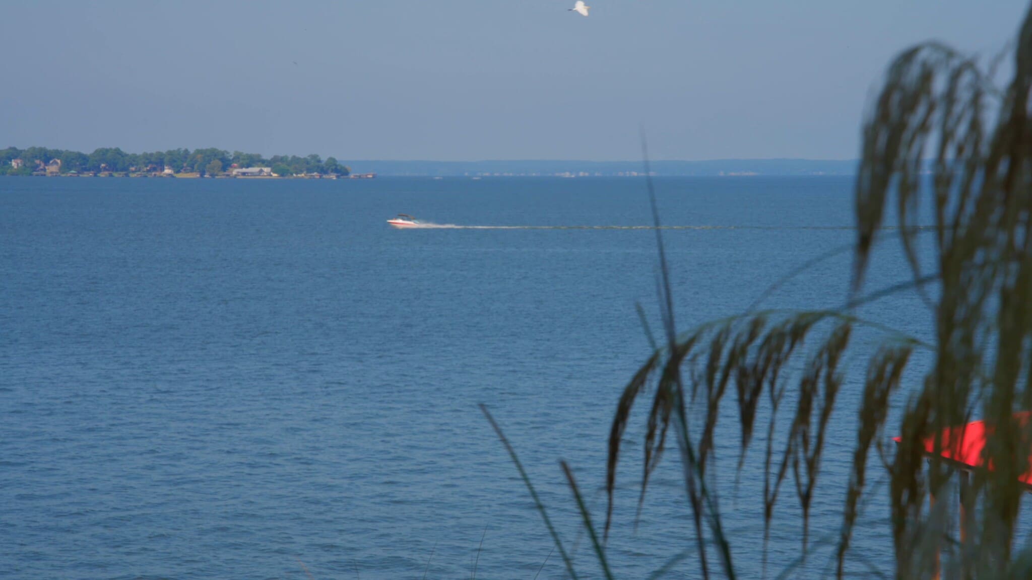 1614 FM 3126, Livingston, TX for Rent