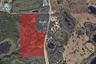 Winter Garden, FL Commercial Land - 14320 Avalon Rd