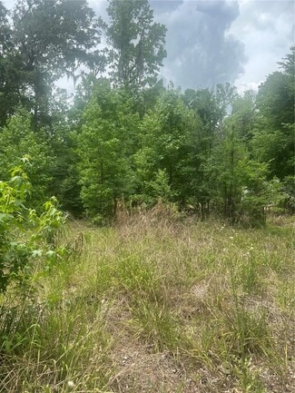 Lake Panasoffkee, FL Residential - 2614 CR 412