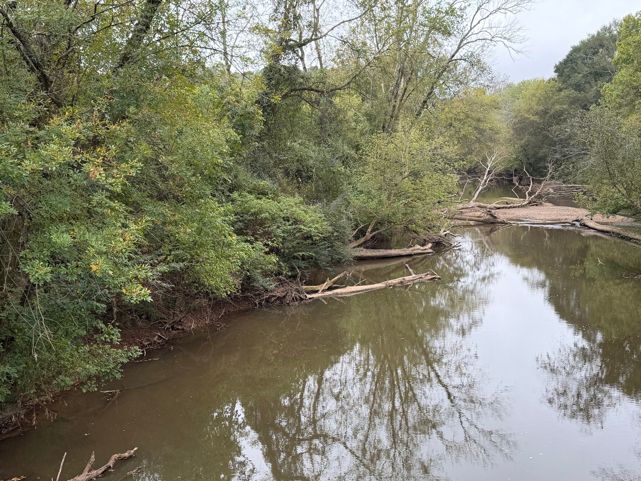 0 County Road 60, Heflin, AL for Sale