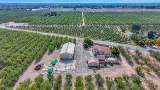 Escalon, CA Agricultural Land - 21549 E River Rd