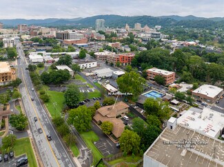 Asheville, NC undefined - 90 Asheland Ave
