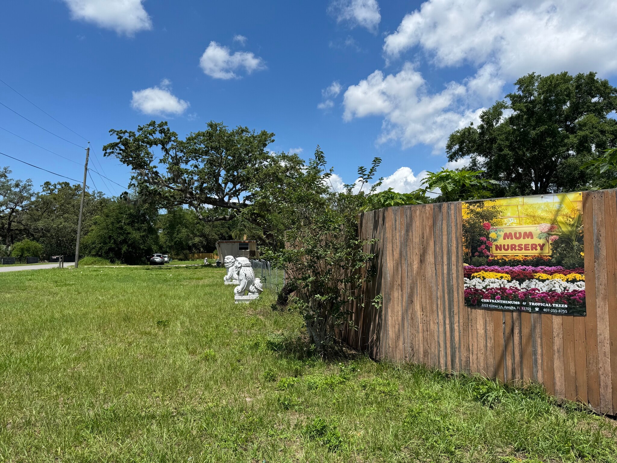 2223 Kilmer Ln, Apopka, FL for Sale