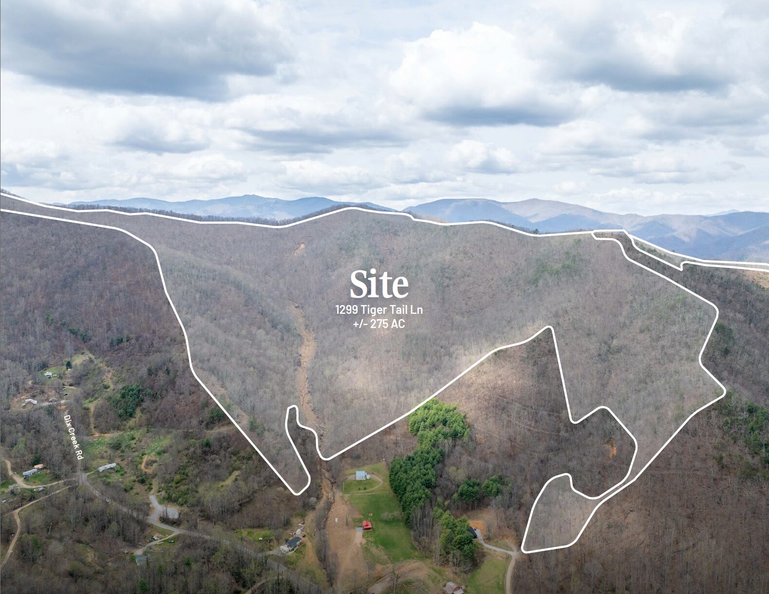 1299 Tiger Tail ln, Canton, NC for Sale