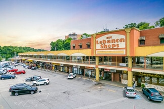 Castle Shannon, PA Retail - 300 Mount Lebanon Blvd