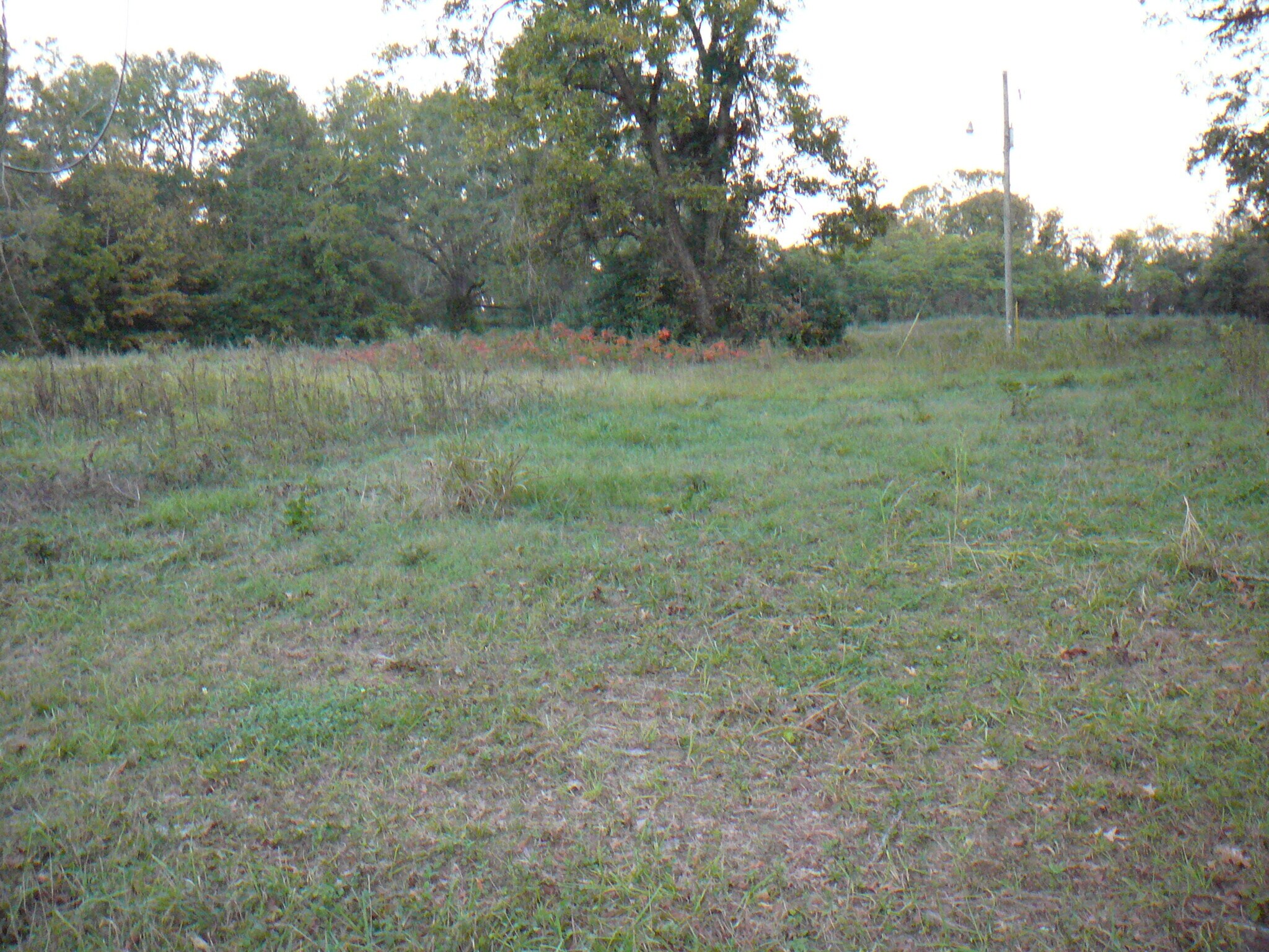 502 N Calhoun St, Calhoun Falls, SC for Sale