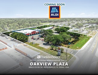 Zephyrhills, FL Retail - 38901-38923 County Road 54