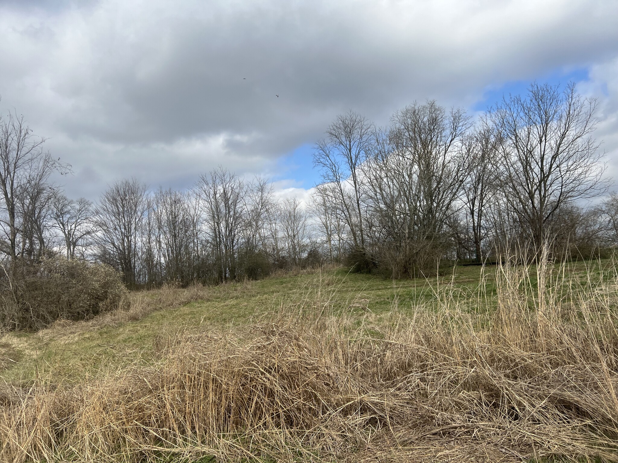 915 1st Ave, Mount Pleasant, TN for Sale