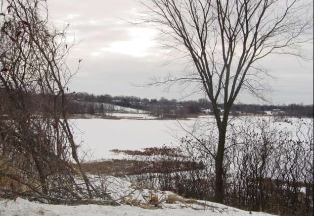 Karmel & Stacy Trl, Chisago City, MN for Sale