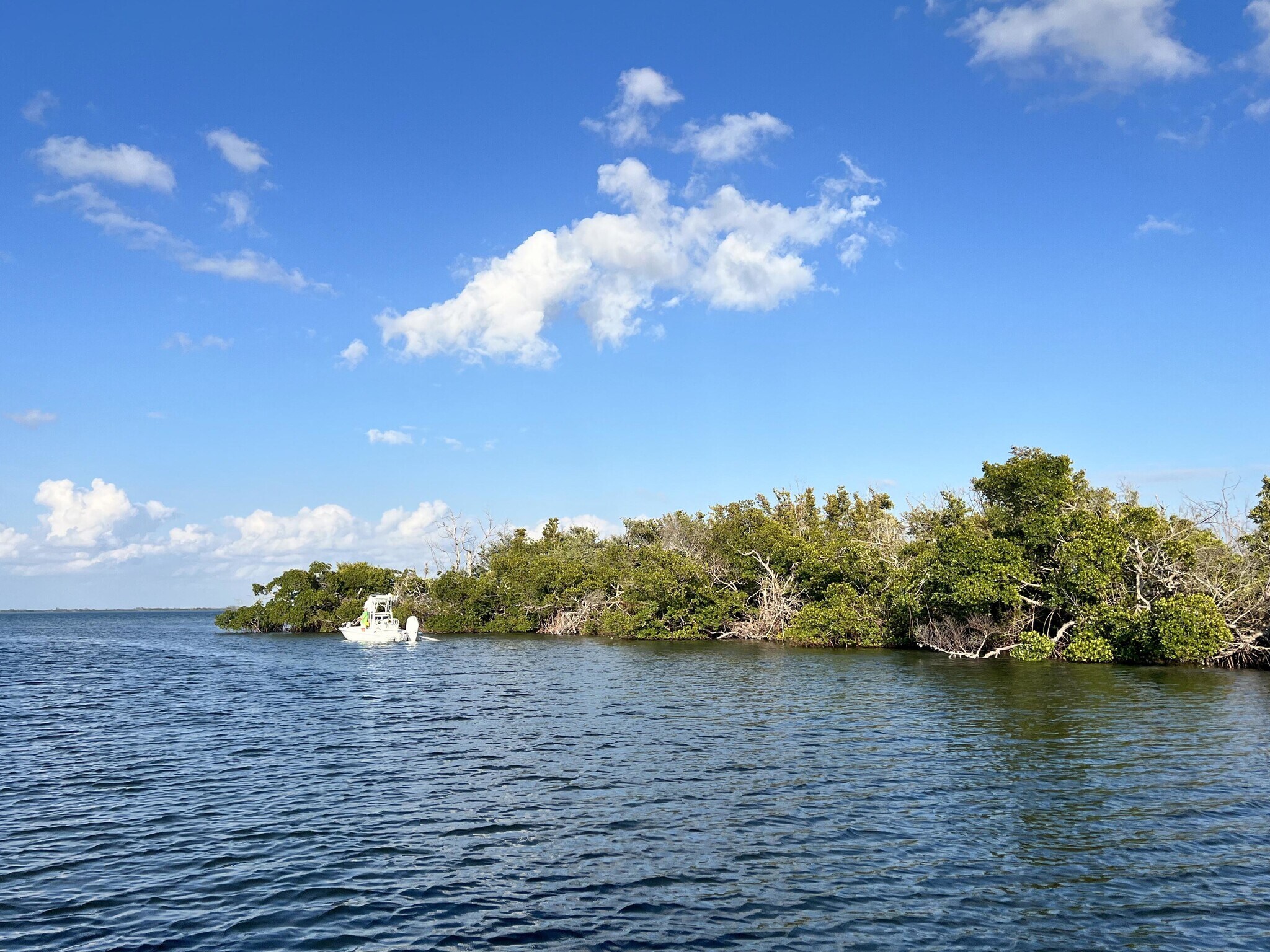 Indian Field Island + 4500 Island 1, Bokeelia, FL for Sale