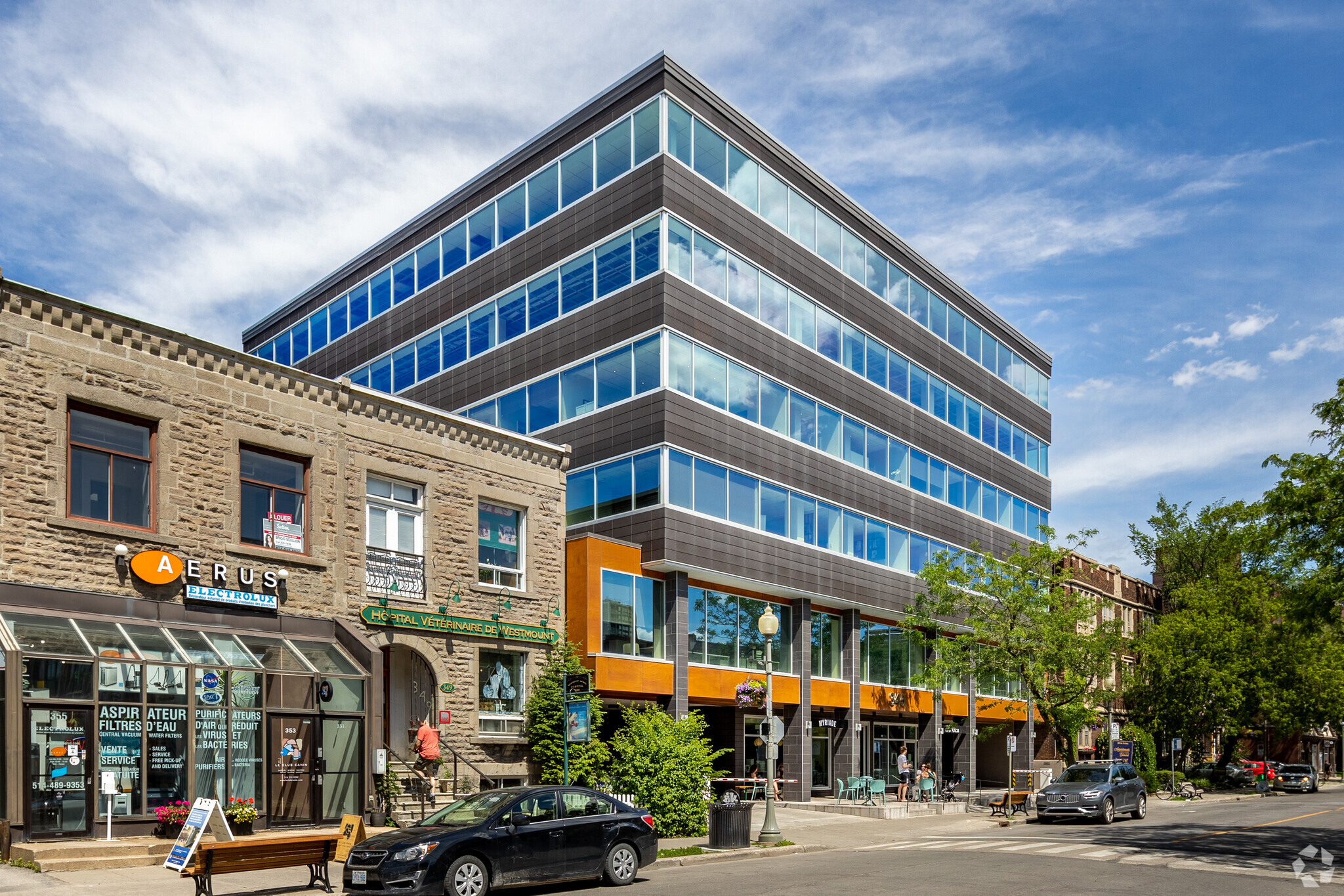 345 Av Victoria, Westmount, QC for Rent